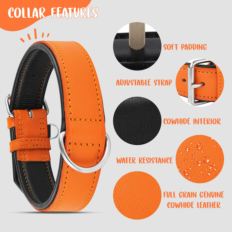 Riparo Genuine Leather Adjustable K-9 Dog Collar with Additional Reinforcement (XXL: 5CM Wide for 60.9CM - 73.7CM Neck, Orange) XXL - PawsPlanet Australia