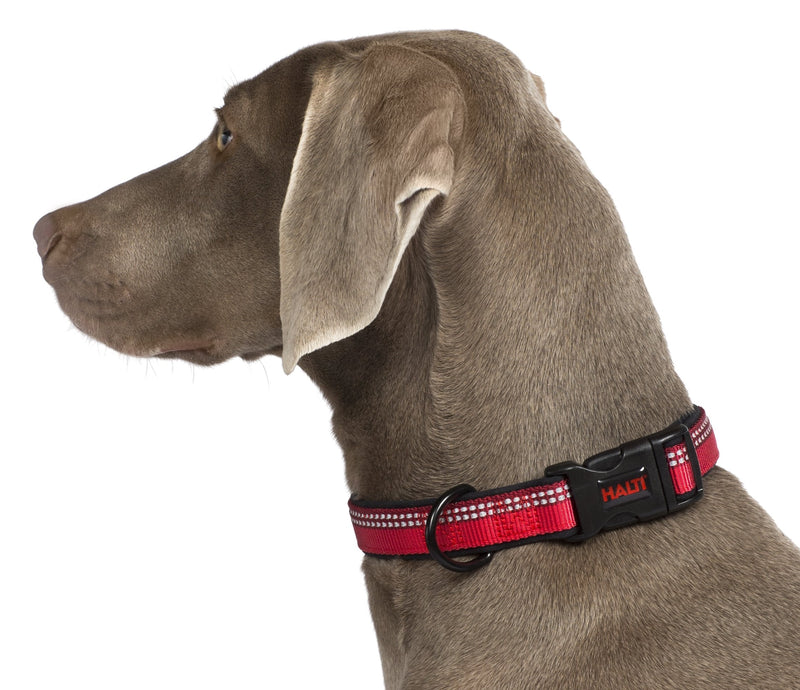 Halti Collar (12" - 23"), Black/Grey, Medium - PawsPlanet Australia