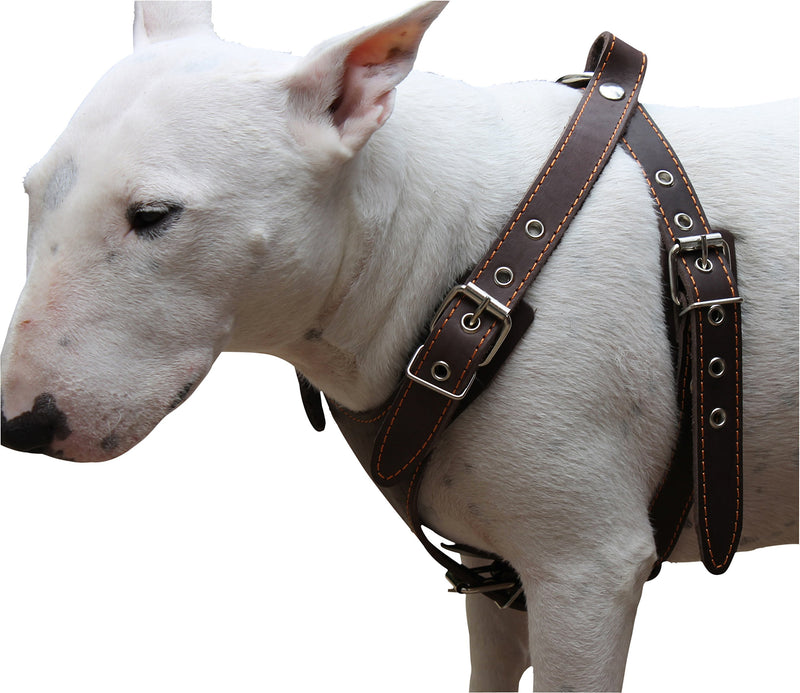 [Australia] - Brown Genuine Leather Dog Harness, Medium. 25"-30" Chest, 1" Wide Adjustable Straps 