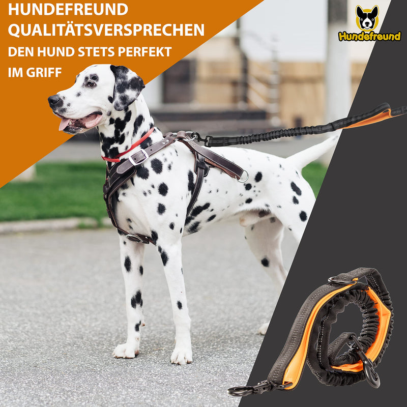 Dog friend jogging leash for large dogs from 15 kg | Elastic hands-free leash with light waist strap | Detachable dog leash with 2 soft loops | Orange running leash (120 cm, stretches up to 170 cm) - PawsPlanet Australia