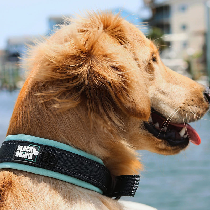 Black Rhino - The Comfort Collar Ultra Soft Neoprene Padded Dog Collar for All Breeds - Heavy Duty Adjustable Reflective Weatherproof (Small, Aqua/Grey) Small - PawsPlanet Australia