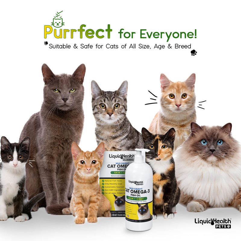 Liquid Health Pets Purr-Fection Omega 3 Fish Oil for Cats - Liquid Omega 3 for Cats with EPA+DPA+DHA, Cat Omega 3 Supplement May Reduce Itching, Support Joint, Immunity, Brain, Heart Health (8 Oz) 1 Pack - PawsPlanet Australia