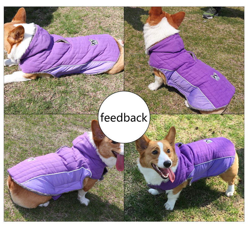 Ctomche Fleece and Cotton Lining Extra Warm Dog Hoodie in Winter,Outdoor Sport Windproof Dog Jacket Winter Warm Large Dog Coat with Harness Hole Purple-L L - PawsPlanet Australia