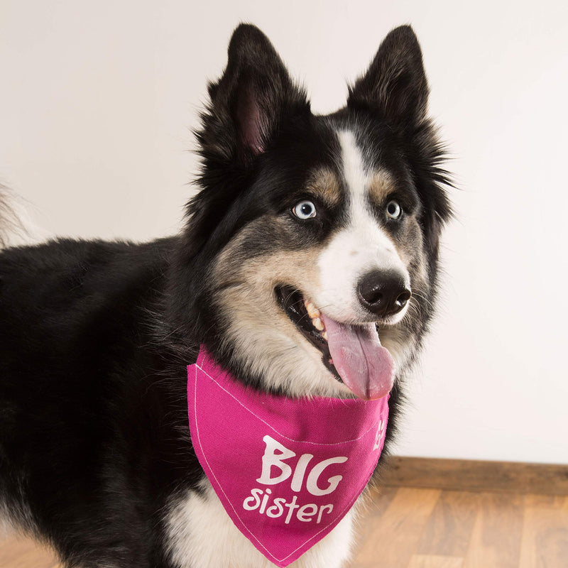 [Australia] - Pavilion Gift Company 45614 Pavilion's Pets - Pink Paw Print Large Dog Slip on The Collar Bandanna - Big Sister 