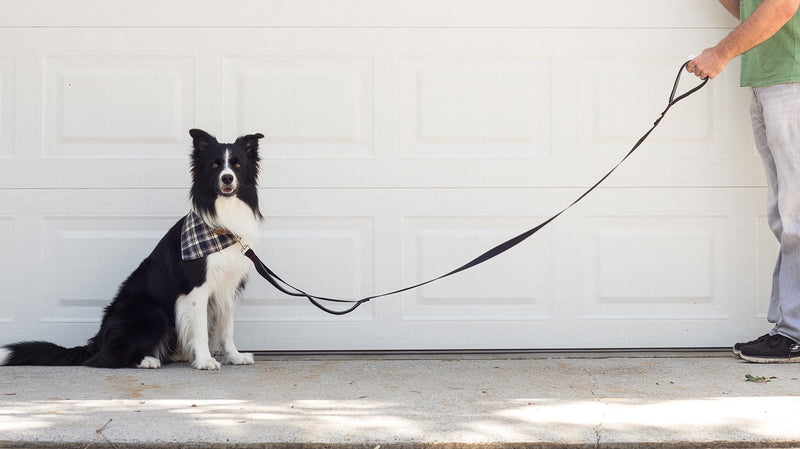 [Australia] - Leashboss 3X - Two Handle Dog Leash with Extra Traffic Handle - Heavy Duty Double Padded Handle Lead for Walking and Training Large Dogs Black/Red/Grey 