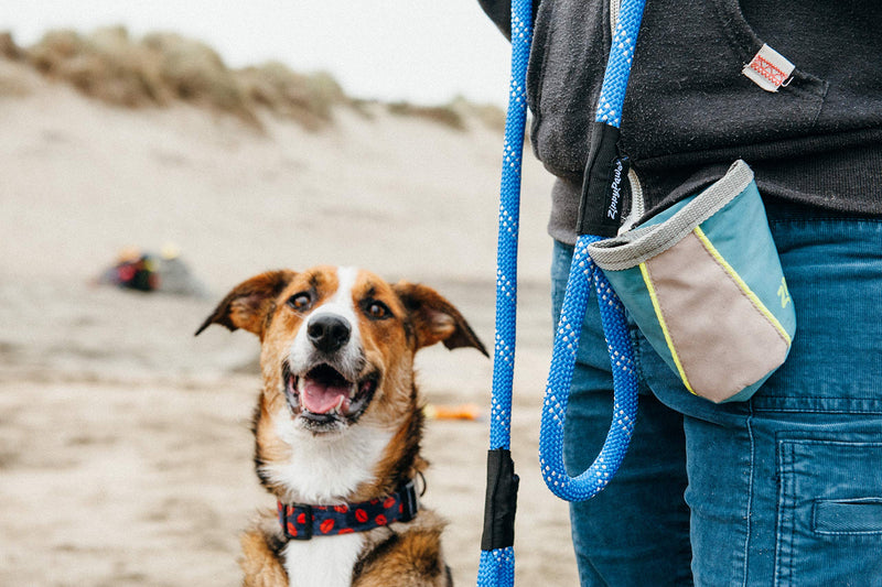 [Australia] - ZippyPaws - Portable Belt Adventure Dog Treat Bag Graphite 