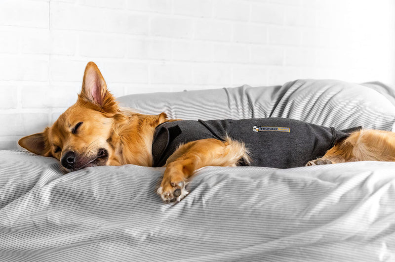 Thundershirt Anxiety Coat for Dog, S, Grey - PawsPlanet Australia