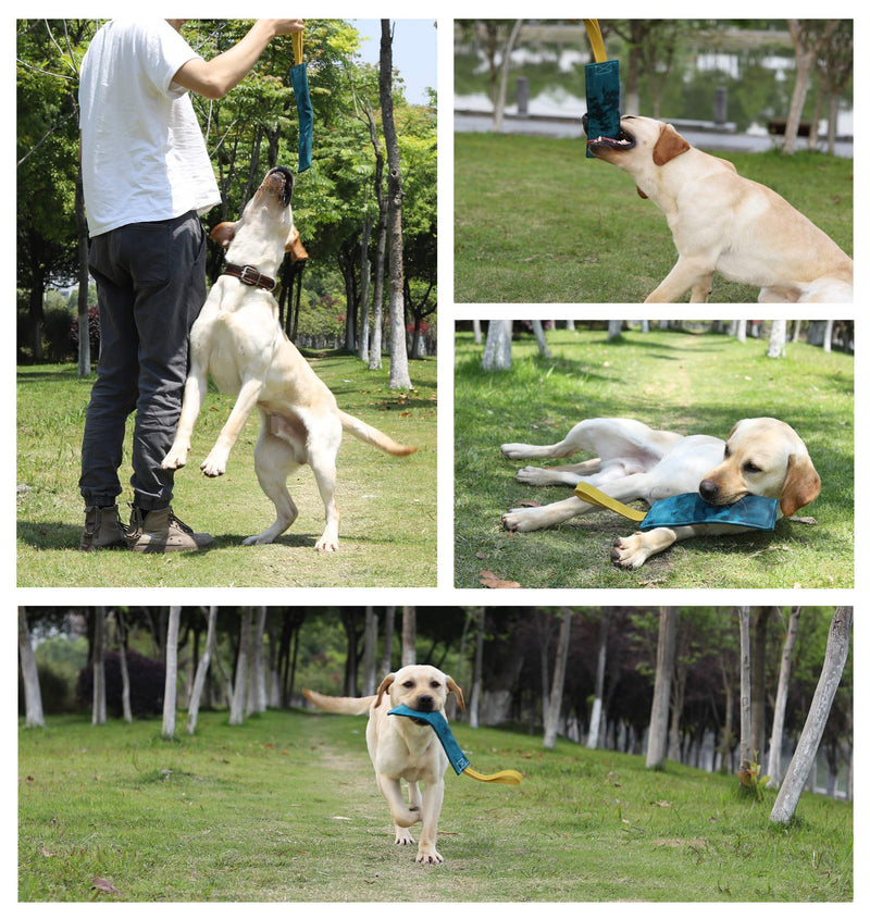 [Australia] - Dewonch No Stuffs Squeaky Leather Dog Bite Tug Toy for Puppy to Play,Indestructible Tugger to Tug of War,Biting Grip,Retrieve Training for K9,Durable Pull Toys for Aggressive Chewers 3.1x11.8 inches 