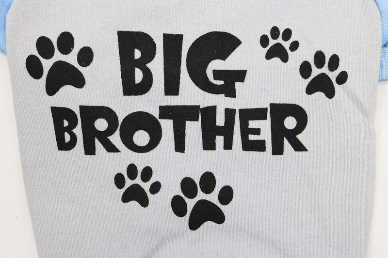 [Australia] - DroolingDog Dog Big Brother T-Shirts for Small Dogs Large (Neck: 13'' Chest: 19.6'') Grey 