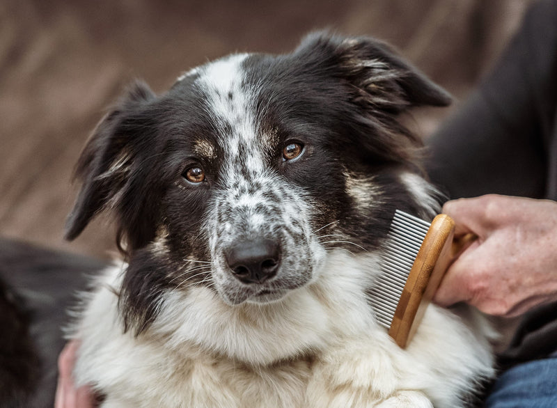 Mikki Bamboo Dog Puppy Grooming Anti-Tangle Rake , Dematting Shedding Tool, Removes Knots, Tangles, Matts, for Medium/Double Hair Coat, Handmade from Natural Bamboo - PawsPlanet Australia