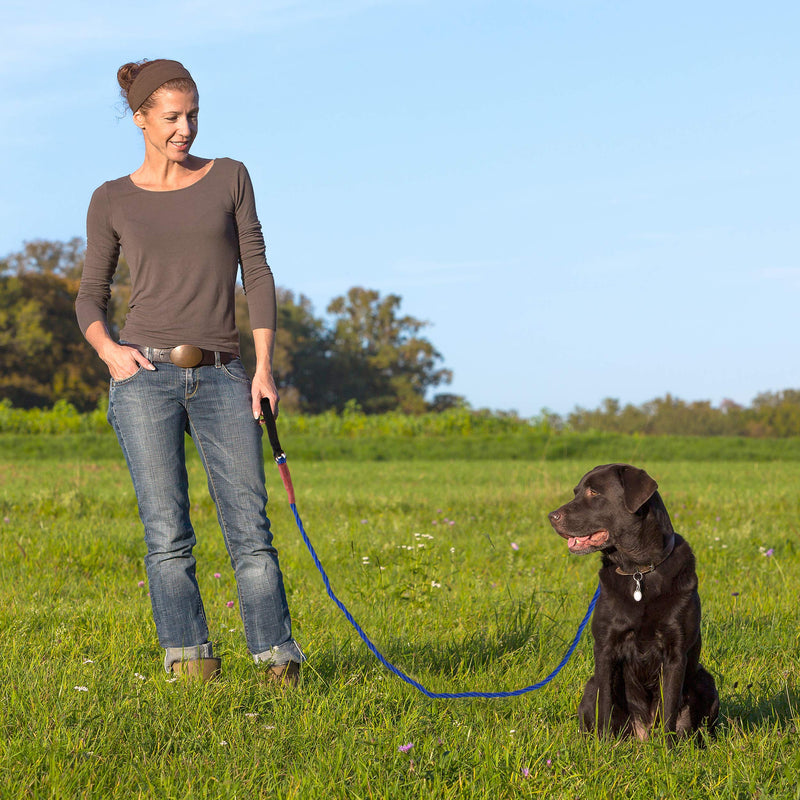 [Australia] - Heavy Duty Braided Bungee Pet Dog Leash with 5 Foot Durable Shock Absorbing Design and Padded Handle Black & Orange or Red & Blue in 6 MM and 8 MM for Small and Large Dogs Blue / Red 