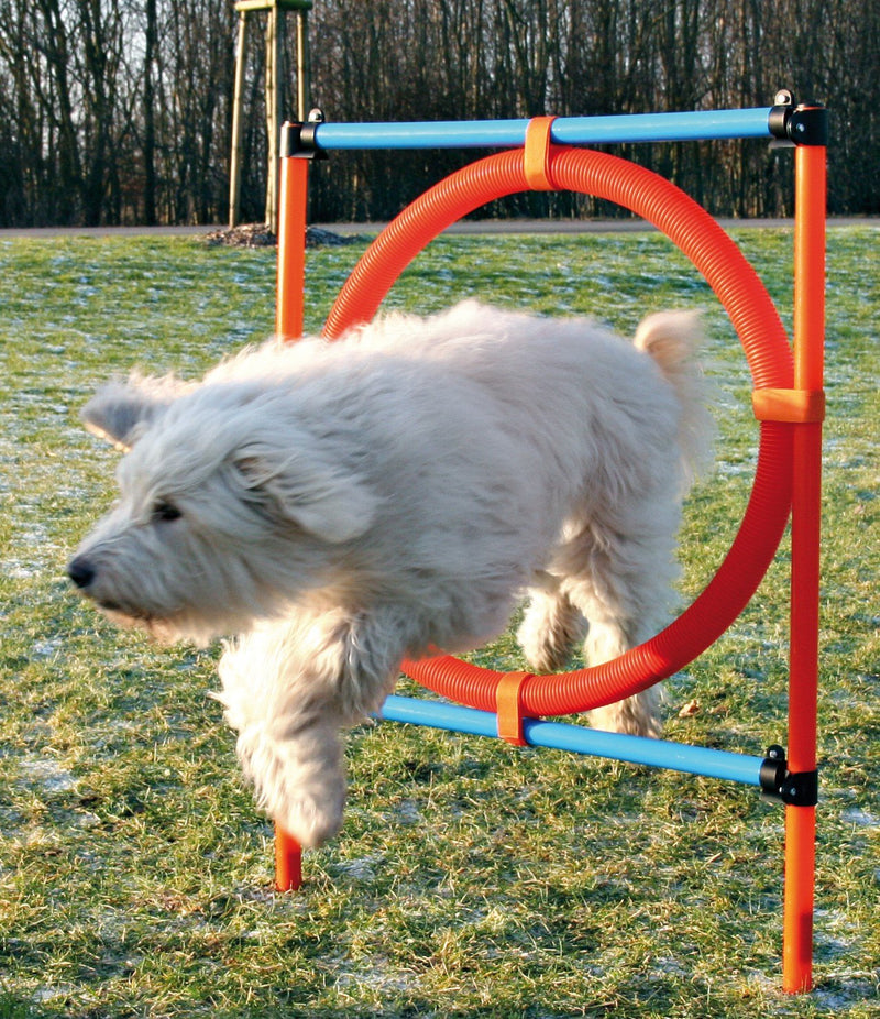 [Australia] - Trixie Pet Products Agility Ring 