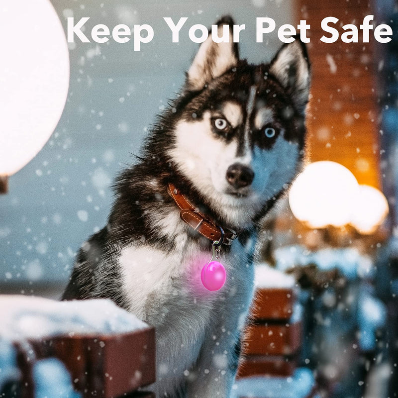 Homeet Dog Safety Flashing Light Clip-On LED Light Pendant Pet Light Collar with 3 Flashing Modes Safety Light for Dog Safety Pack of 6 - PawsPlanet Australia