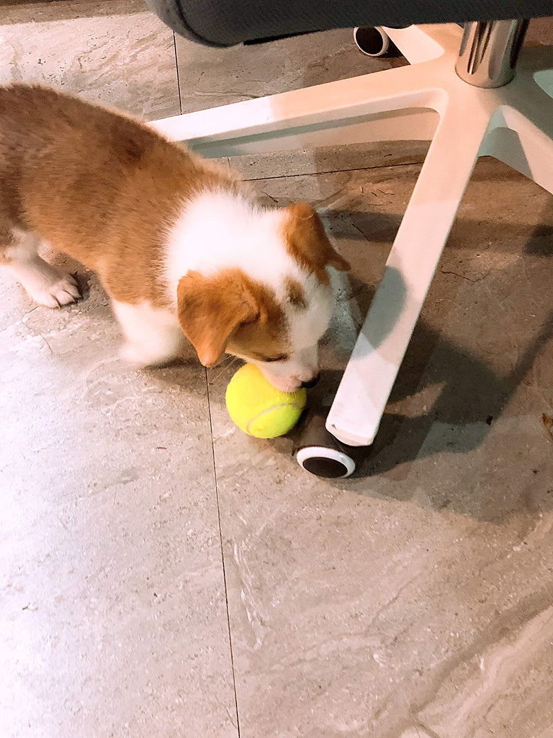 insum Tennis Ball for Dog Pack of 12 Colorful Easy Catching Pet Dog Ball - PawsPlanet Australia