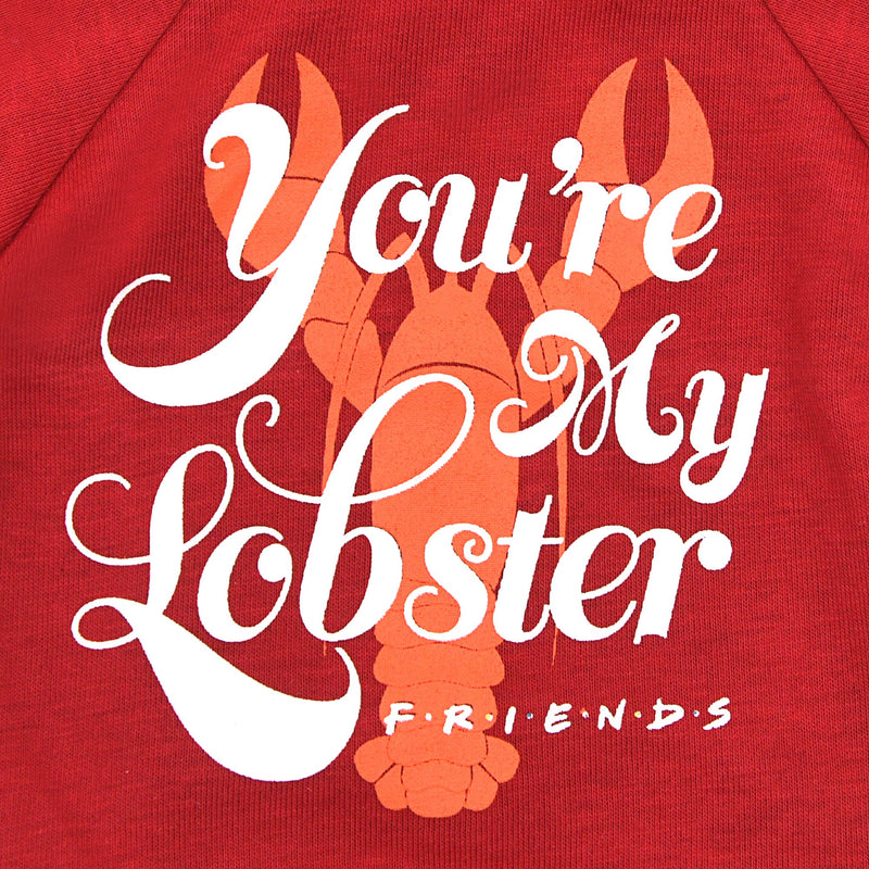 [Australia] - Warner Bros Friends TV Show "You're My Lobster" Dog T Shirt in Red | Soft and Comfortable Dog Shirt, Available in Multiple Sizes | Machine Washable Pull-Over Dog Tshirt Large 