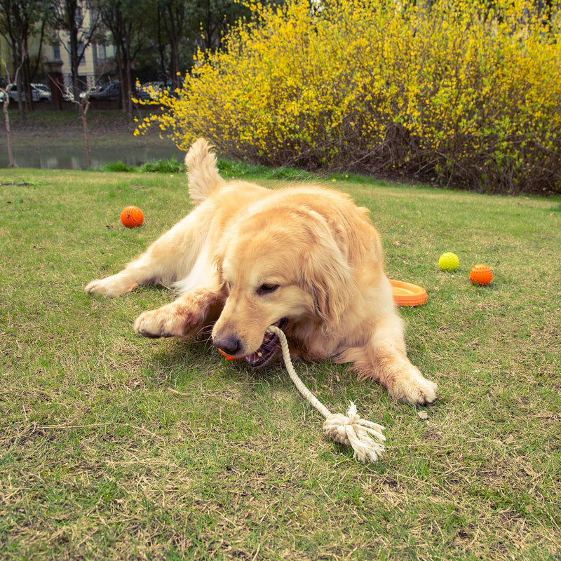 Dog Rope Toy, Interactive Puppy Chew Toys for Aggressive Chewers Small and Medium Dogs (Green) Green - PawsPlanet Australia