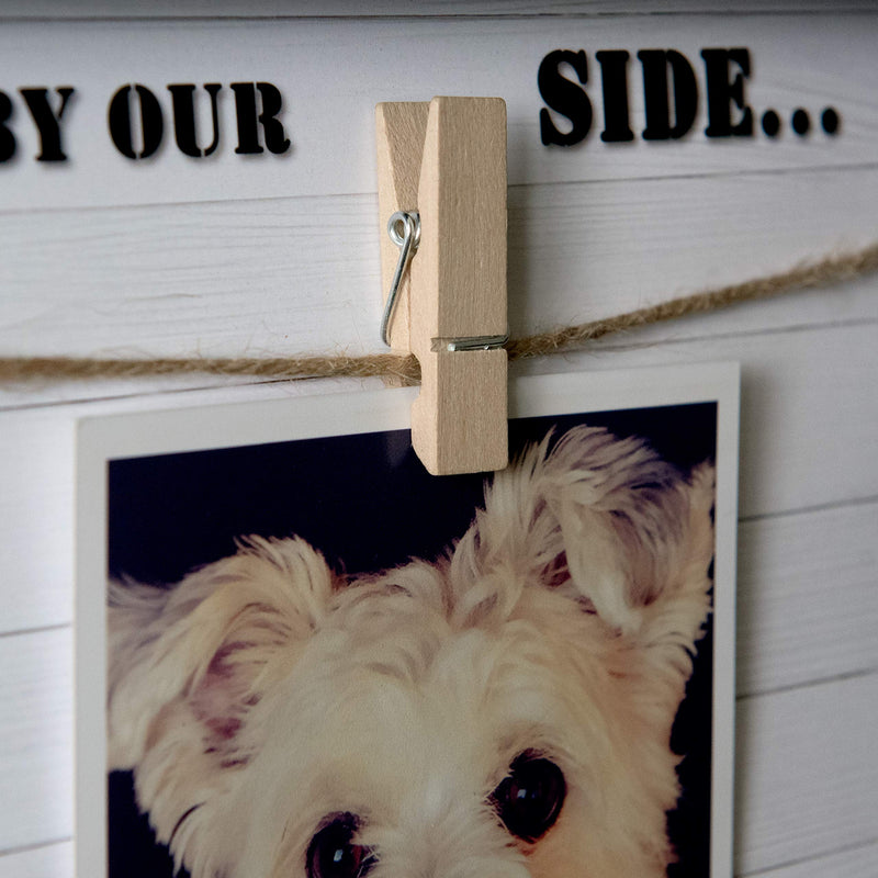 [Australia] - Pet Memorial Picture Frame for Dog or Cat. Clever Design to fit 4x6 - 5x7. Loss of Dog or Cat Sympathy Photo Frame with Clip. Text "Forever in Our Hearts”. Black Wood Frame 10”x10” 