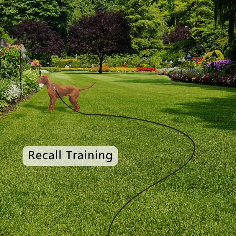 Alfheim Dog Training Lead with Soft Padded Handle, 10m/32FT Strong Webbing Long Line for Swimming Camping Farm Backyard, Dog Recall Training Leash for Puppy Small Medium Large Dogs Black - PawsPlanet Australia