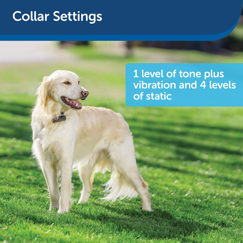 [Australia] - PetSafe Stubborn Dog In-Ground Fence for Dogs and Cats - from the Parent Company of INVISIBLE FENCE Brand – Multiple Wire Gauge Options Collar Only - No Wire Add-a-Dog Collar 