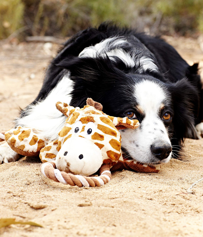 [Australia] - Charming Pet Scrunch Bunch Plush Dog Toy - Interactive Soft Cuddly Animal - Tough and Durable Squeaky Tug Toy Bunny 
