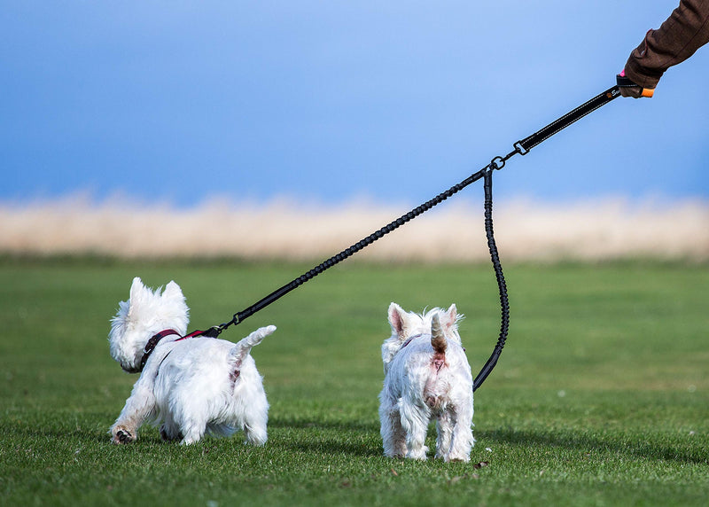 Sweetie Dog Lead Splitter – Dual Shock Absorbing Bungee Double Leash Coupler - Perfect Leads for Walking 2 Small to Medium Dogs on One Lead - No Tangle 360° Swivel Clip - Reflective Stitching Bungee Splitter - PawsPlanet Australia