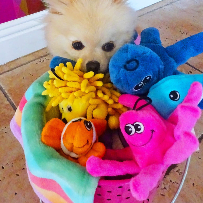SmartPetLove Tender-Tuffs - Tiny Plush Toys for Puppies and Small Breeds (Orange Clownfish) - PawsPlanet Australia