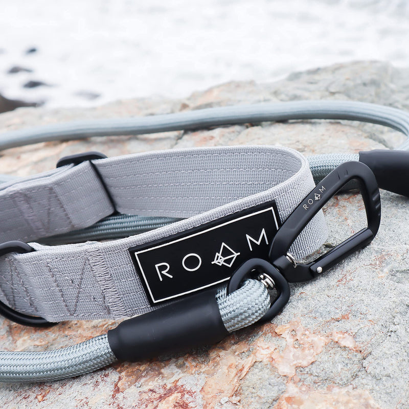 ROAM Premium PillowWalk Leash - Ultra Soft Dog Leash with Aviation Aluminum Carabiner Alaska Daybreak 4 Feet - PawsPlanet Australia