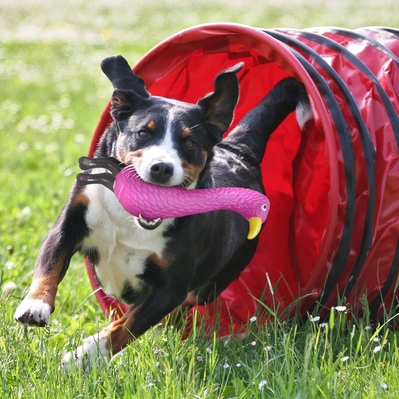 Relaxdays Flamingo Dog Toy 3 Pack Squeaky Puppy Small & Medium Dogs PVC Squeaky Toy Pink - PawsPlanet Australia