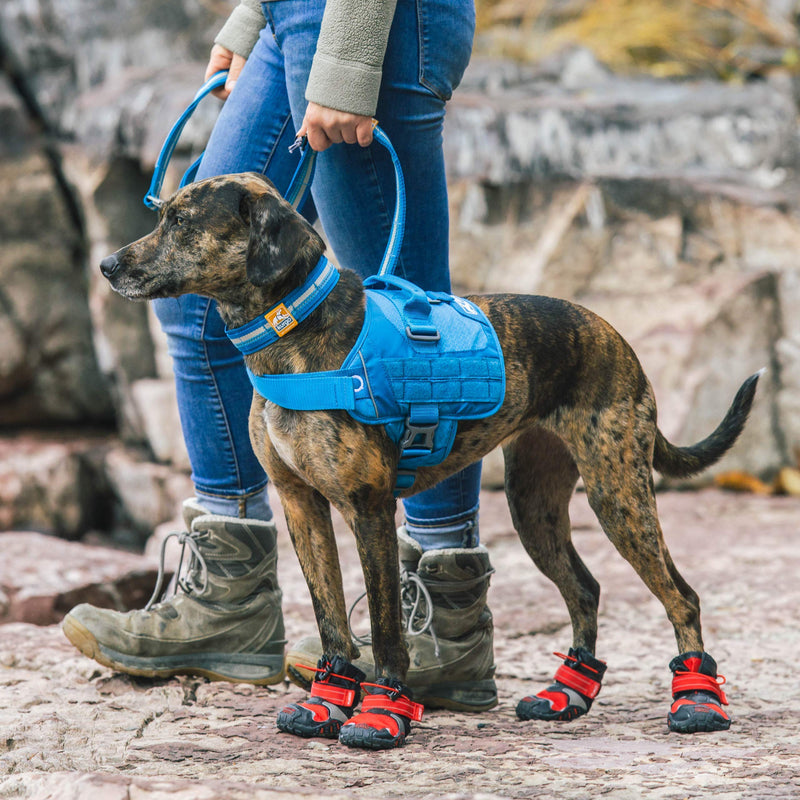 Kurgo RSG Townie dog harness, easy to put on and take off, adjustable chest and stomach straps, size L, blue - PawsPlanet Australia