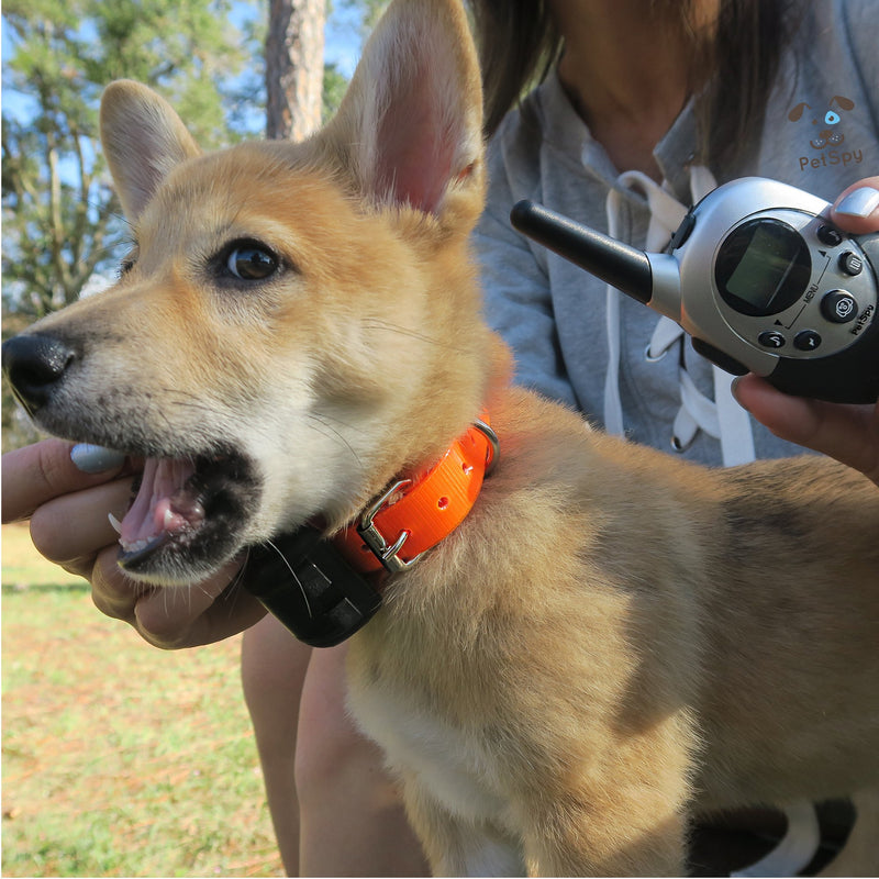 [Australia] - PetSpy M86 Extra Remote Transmitter - Replacement Part for 1100 Yards Advanced Dog Training Systems M86-1, M86-2 and M86N Grey 