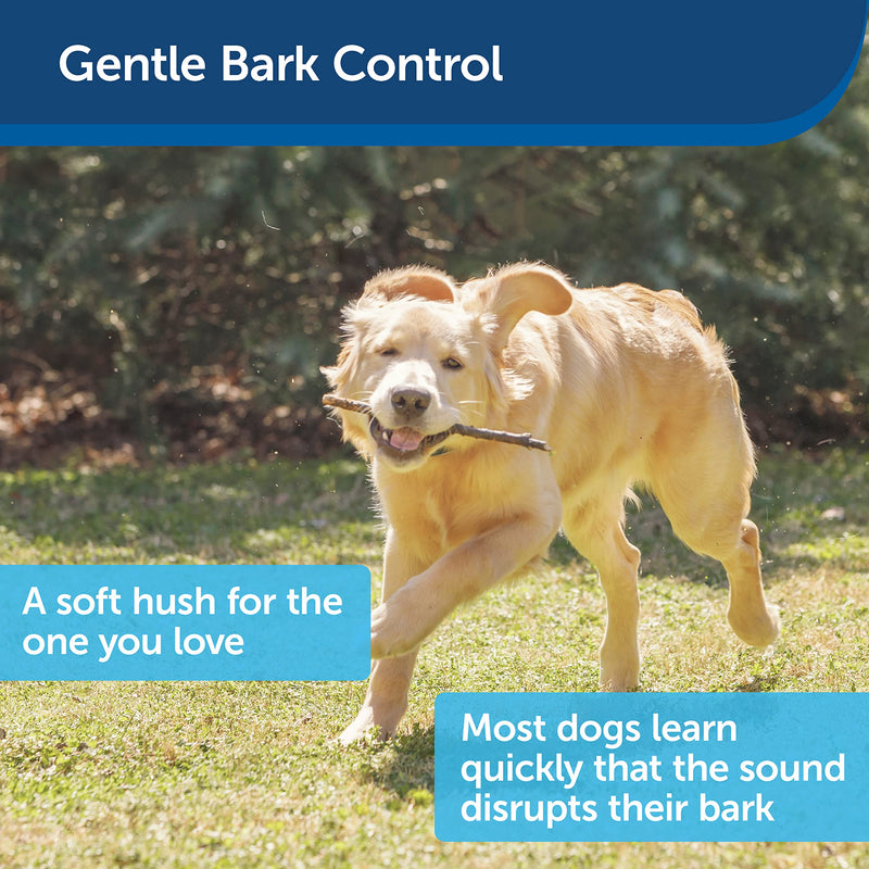 PetSafe Outdoor Bark Control, 15 m Range, Automatic, Anti-Bark, Ultrasonic Stimulation - PawsPlanet Australia
