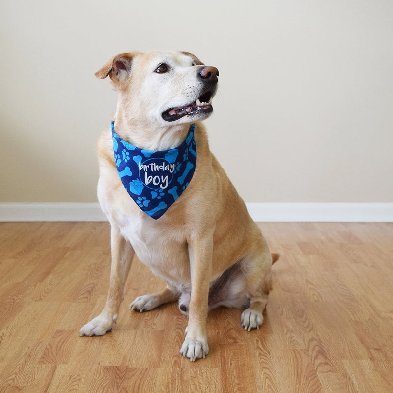 [Australia] - hecho Dog Birthday Bandana - Boy 