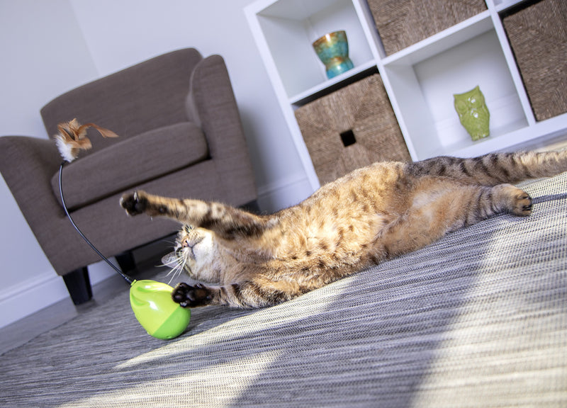 [Australia] - Petlinks Electronic Motion Cat Toys Wild Thing 