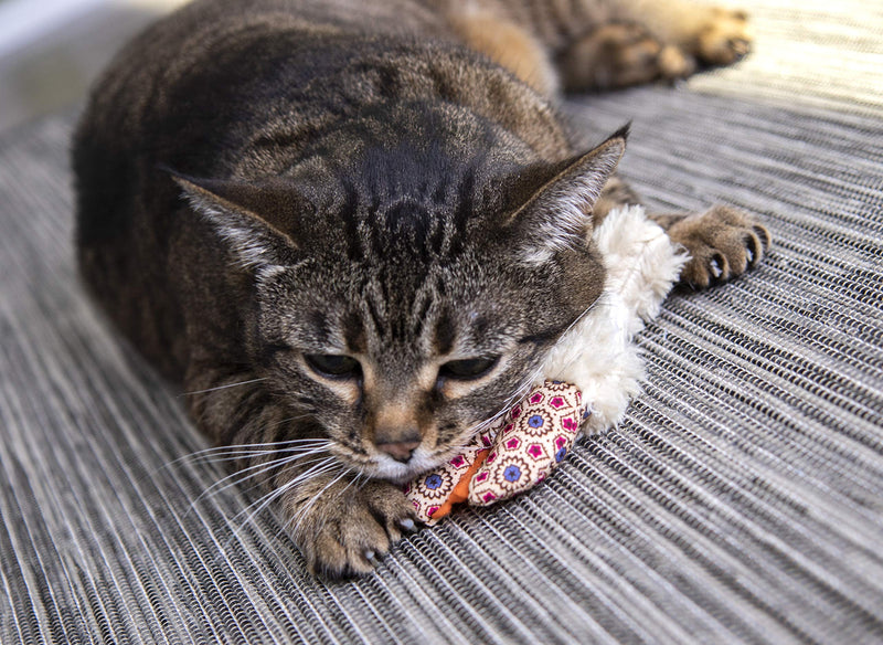 [Australia] - Petlinks Refillable Catnip Cat Toys Fresh Catch 