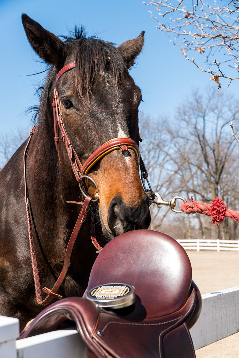 Bickmore Saddle Soap Plus 184g - Leather Cleaner & Conditioner With Lanolin - PawsPlanet Australia