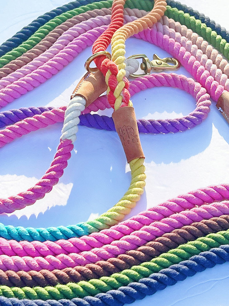 BULPET Eco Friendly Organic Cotton Durable Dog Ombre Rainbow Rope Leash with Brown Leather and Gold Brass Hardware / All Dogs - PawsPlanet Australia