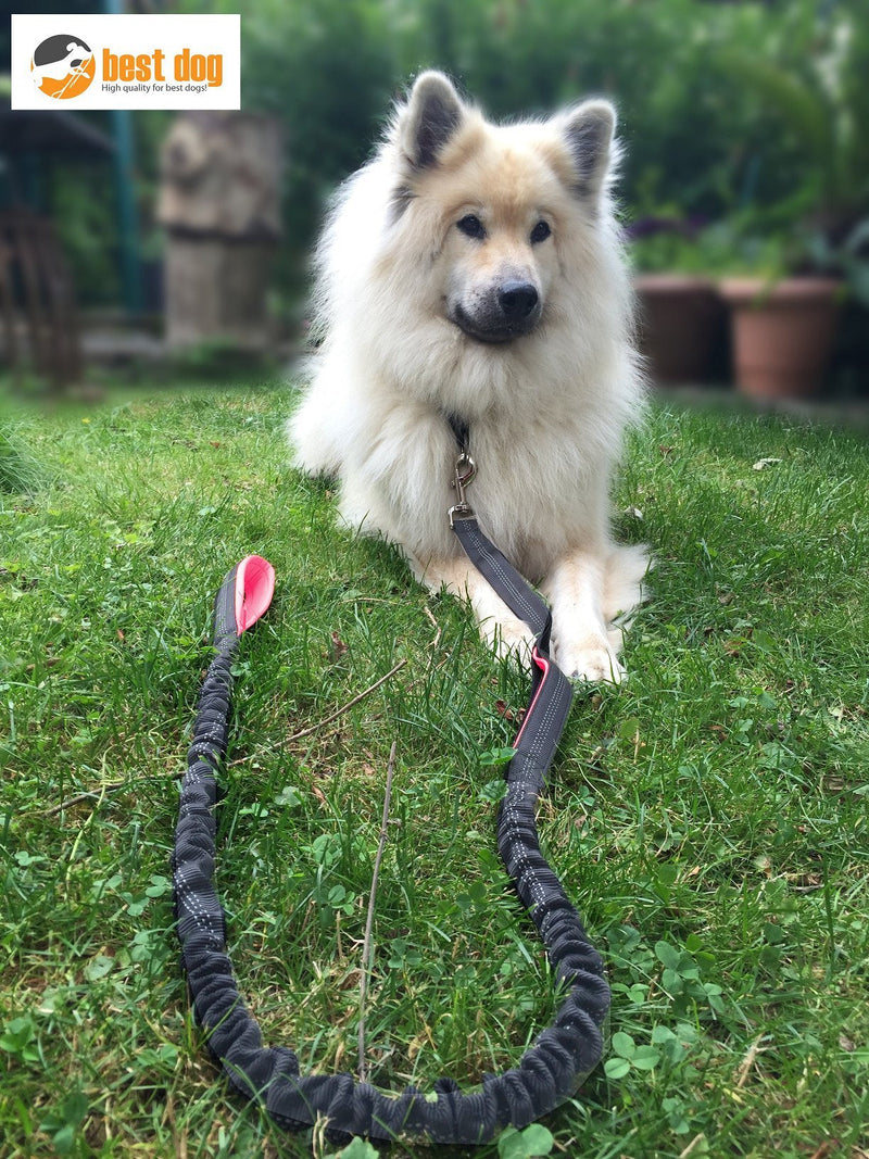 best dog Premium dog leash for large dogs (pink-grey) pink-grey - PawsPlanet Australia