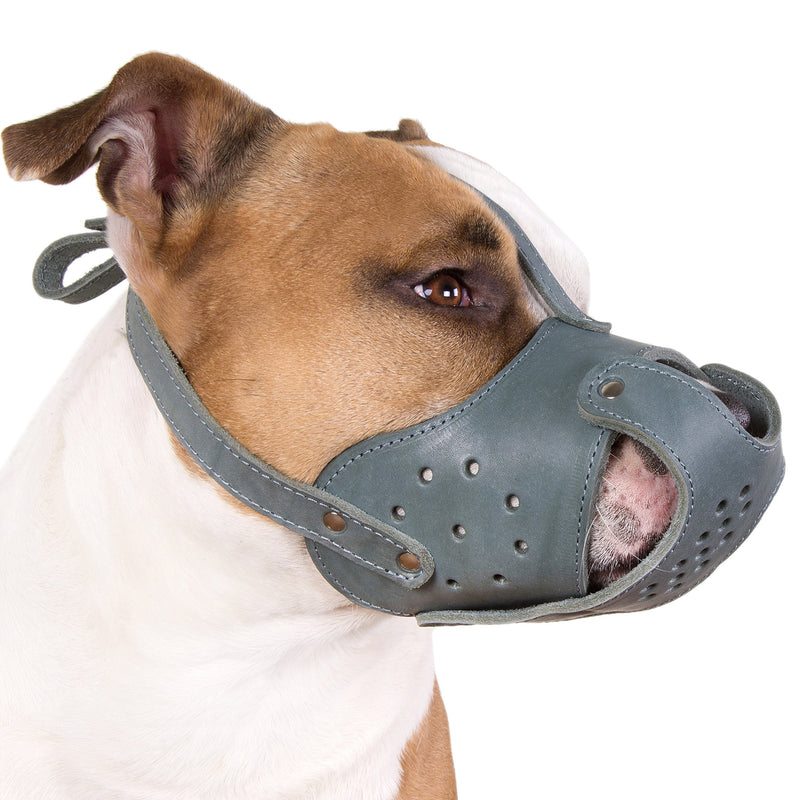 [Australia] - CollarDirect Dog Muzzle Pitbull Amstaff Basket Genuine Leather Staffordshire Terrier Pink 