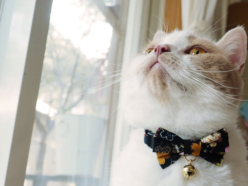 Necoichi Kimono Bow Tie Cat Collar Black - PawsPlanet Australia