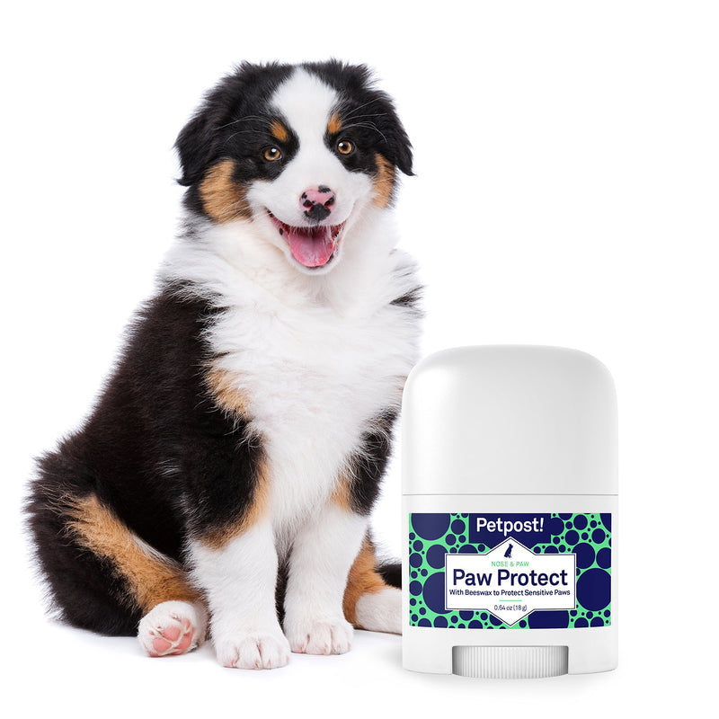 Petpost | Paw Protection for Dogs - Organic Sunflower Oil and Beeswax Balm for Hot Pavement - Wax Coats Dog Feet to Prevent Burns from Heat & Cold .64 - PawsPlanet Australia