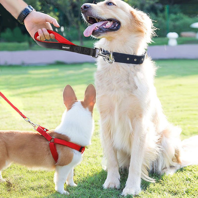 Lampop Short Dog Lead Leash for Medium Large Strong Dogs Easy Control Nylon Webbing Leads Soft Pet Training Traffic with Neoprene Padded Handle and Metal Clip (Black, M: 12.6in Length) M: 32CM/12.6in Length Black - PawsPlanet Australia