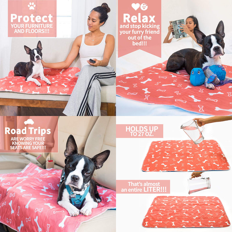 [Australia] - Washable Pee Pads for Dogs (2 Pack) Sm/Md/Lg Super Absorbent Whelping Pads w/Odor Control & Waterproof Backing| Protect Indoor Floor & Carpet | Reusable Dog Wee Wee Pads + Free Puppy Training eBook Small 