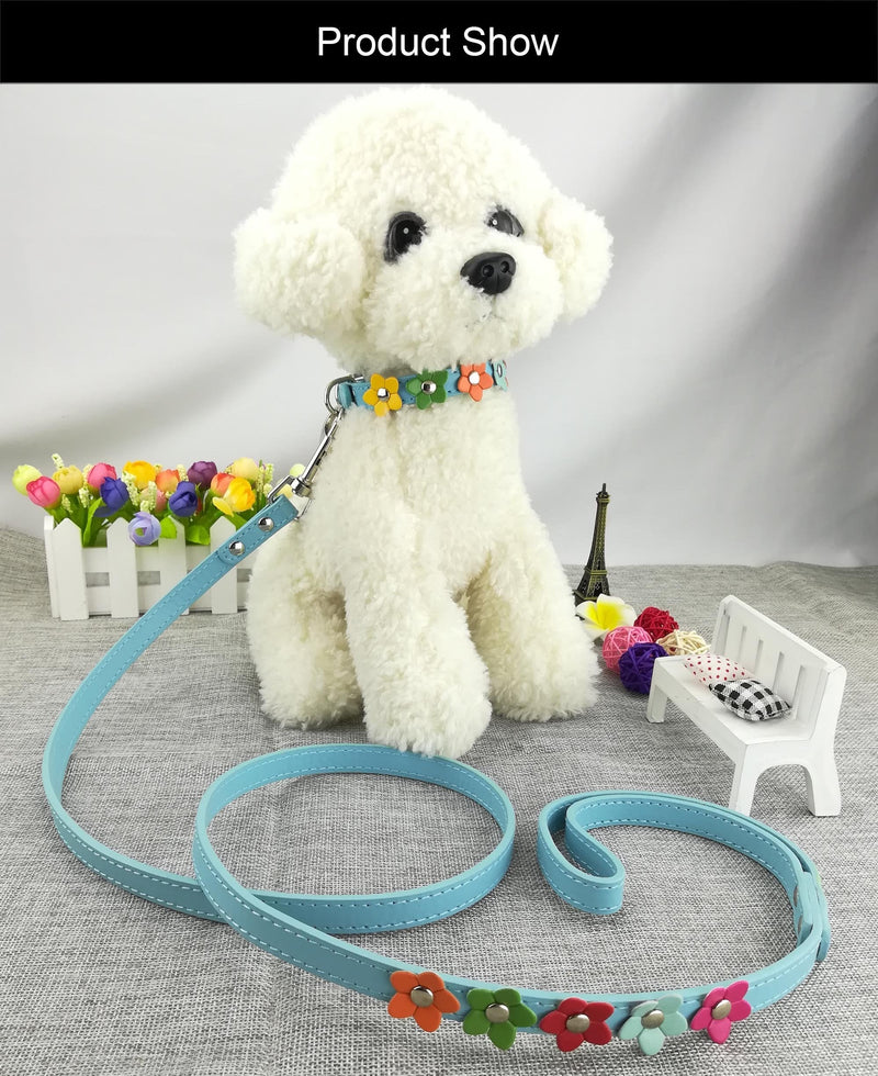 Newtensina Stylish Dog Collar and Lead Set Dog Collar Girl Flower Puppy Collars Leashes for Small Dogs with Flower - Blue - XS - PawsPlanet Australia