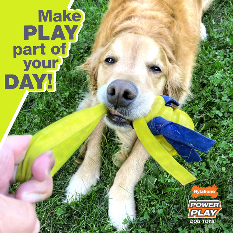 Nylabone Power Play Fetch Toys for Dogs, Interactive Dog Toys for Dogs Large (1 Count) Ultra Glider - PawsPlanet Australia