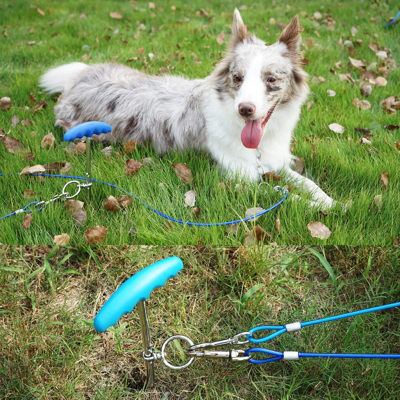 Petphabt 20ft(6m) heavy duty Dog stake and tie out cable with 16 Inch spiral ground stake Puppy pet Outdoor Tie Out Lead Leash (Blue) Blue - PawsPlanet Australia