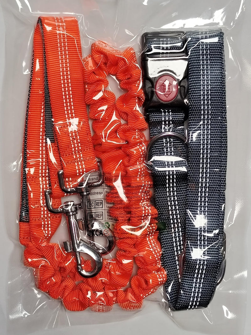 Aiqeer Hands-Free Dog Leash, Gray Adjustable Waist Belt and Orange Stretchy Bungee Leash, Jogging Dog Leash with Reflective Stitching - PawsPlanet Australia