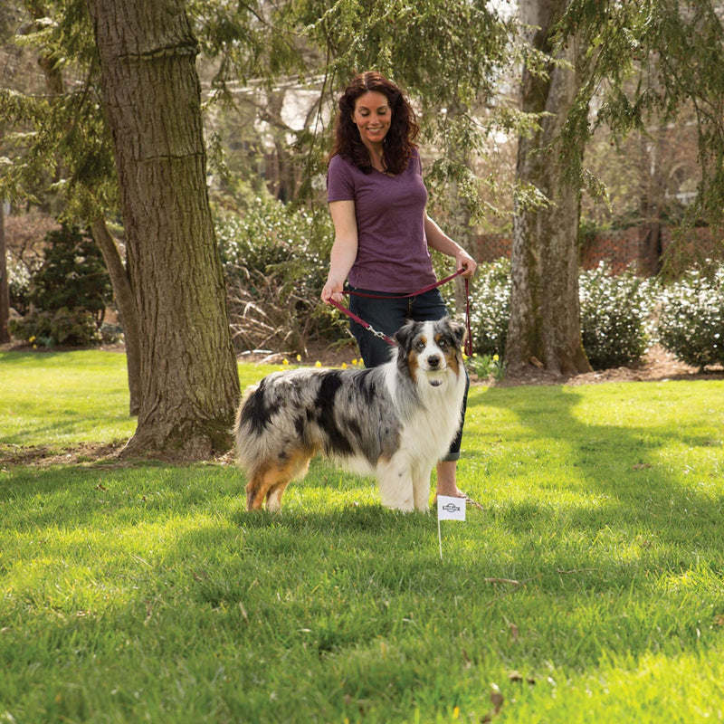 PetSafe Boundary Flags (Bundle of 50), For Use with PetSafe's Dog and Cat In-Ground Fences and Wireless Fences - From the Parent Company of INVISIBLE FENCE Brand - PawsPlanet Australia