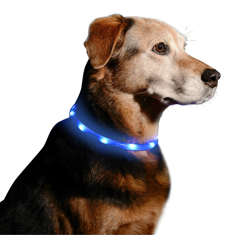 [Australia] - Illumiseen LED Dog Necklace Collar - USB Rechargeable Loop - Available in 6 Colors - Makes Your Dog Visible, Safe & Seen Midnight Blue 