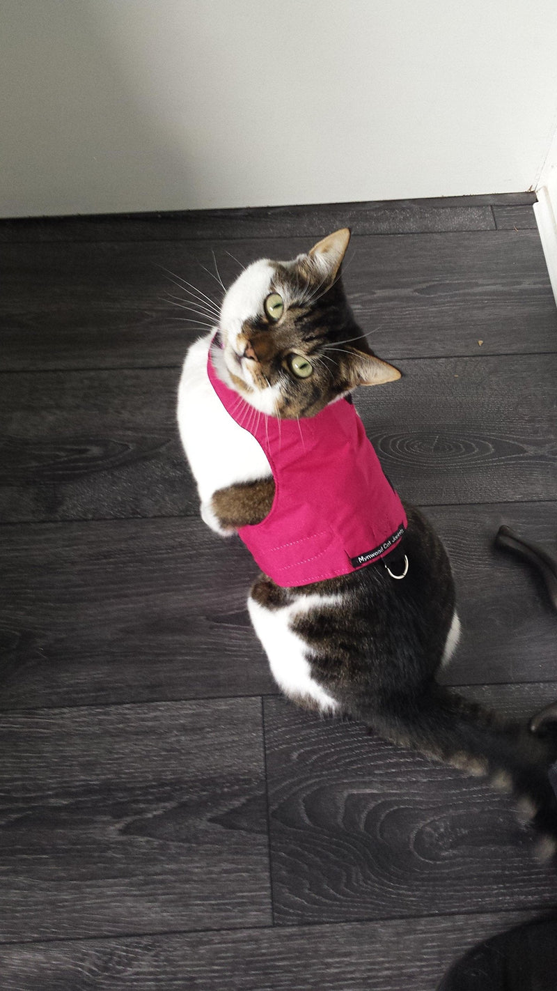 Mynwood Cat Jacket/Harness Pink Adult - PawsPlanet Australia