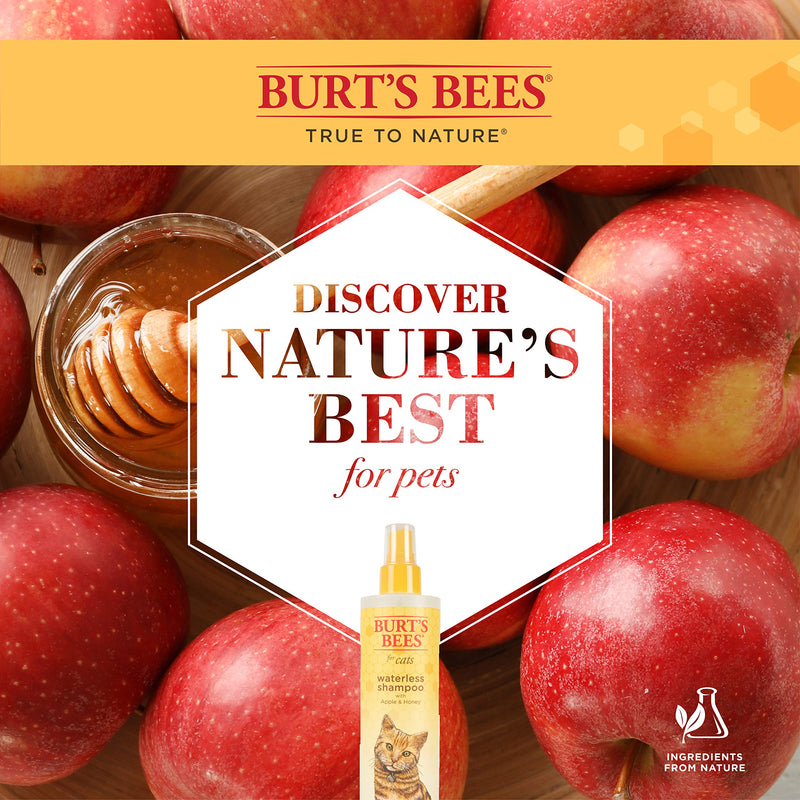 [Australia] - Burt's Bees 1-Pack 